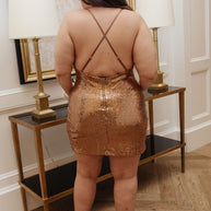 Shining in Sequins Dress in Gold-Dresses-Ave Shops-[option4]-[option5]-[option6]-[option7]-[option8]-Shop-Boutique-Clothing-for-Women-Online